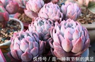 最干净的交情打一成语