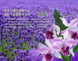嫁鸡逐鸡成语接龙游戏