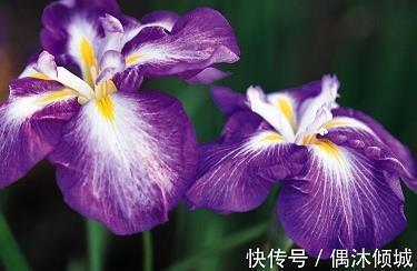 车龙马水成语接龙游戏