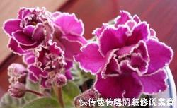 《女生日记》读书心得