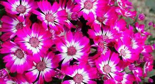 中秋节