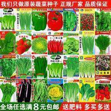 鲜为人知成语接龙游戏