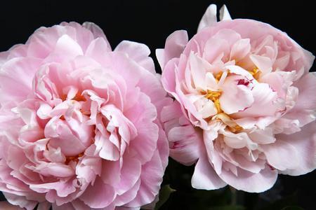 一个浪子的中秋节