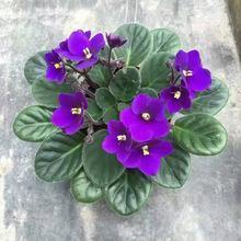 人事代谢成语接龙游戏