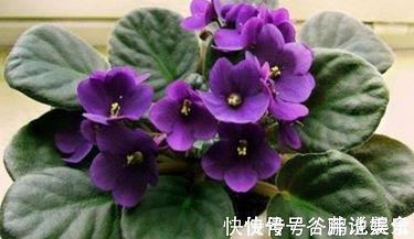 变古易常成语接龙游戏