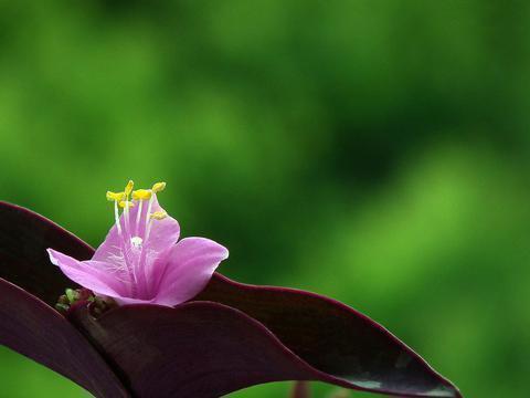 中秋节赏月