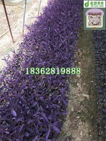 握发吐飧成语接龙游戏