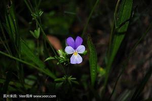 众口销铄成语接龙游戏