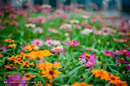 怆地呼天成语接龙游戏