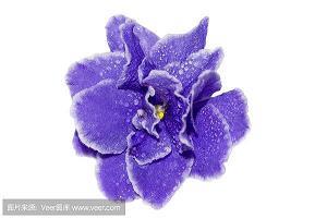我希望我的房间是……