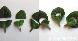 1月10日星期三晴