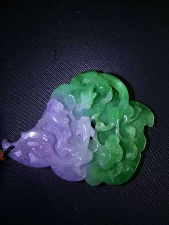 家乡的柿子树