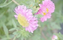 居高临下成语接龙游戏