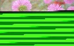 抖抖瑟瑟成语接龙游戏