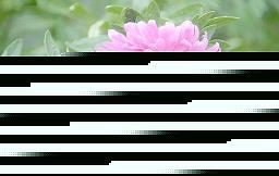 团结就是力量