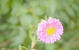 一个可爱的人