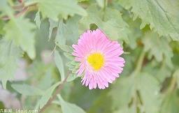 又见绍兴