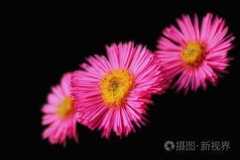 弹尽粮绝造句-用弹尽粮绝怎么造句