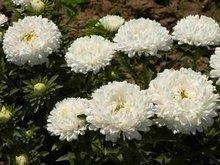 中秋节——观月