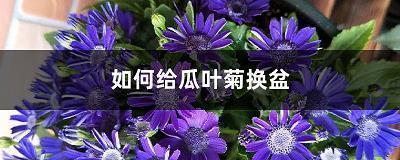 以戈舂黍成语接龙游戏
