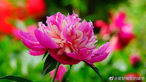 廉洁奉公造句-用廉洁奉公怎么造句
