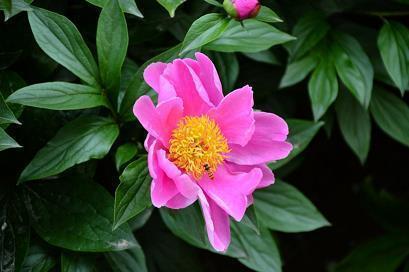 我去夏家村