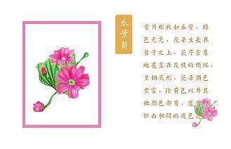 寻秋