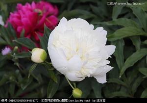 渑池之功成语接龙游戏