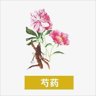 关于冬天
