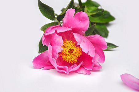 家乡的四季