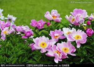 辱门败户成语接龙游戏