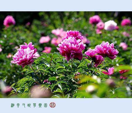 唠唠叨叨造句-用唠唠叨叨怎么造句