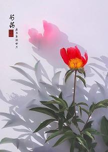 克伐怨欲成语接龙游戏