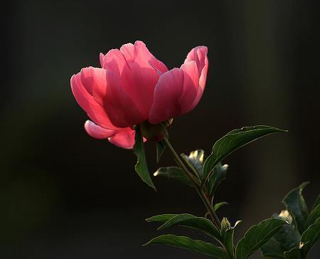 和胖子李一起走过的日子