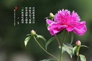 囊里盛锥成语接龙游戏