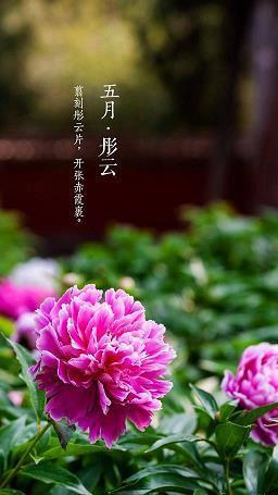 与众不同成语接龙游戏