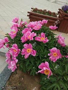 承前启后成语接龙游戏