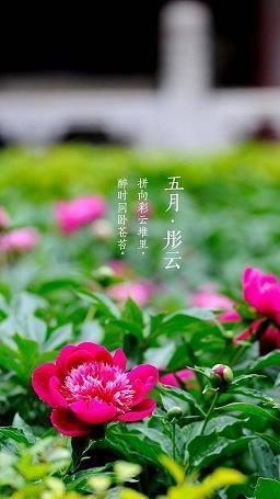 世博就是生活