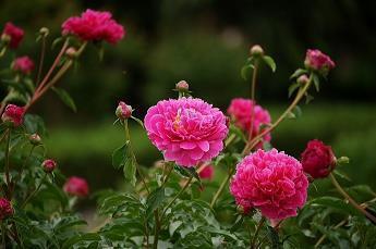 间不容瞚成语接龙游戏
