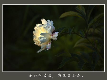 一次新的体验