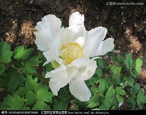 从流忘反成语接龙游戏