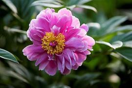 中秋节的传说