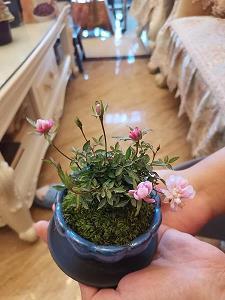 移东换西成语接龙游戏