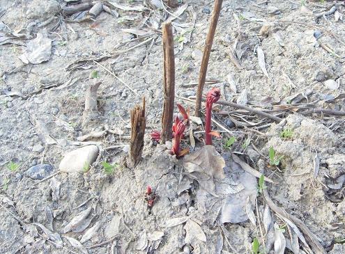 姑置勿论成语接龙游戏