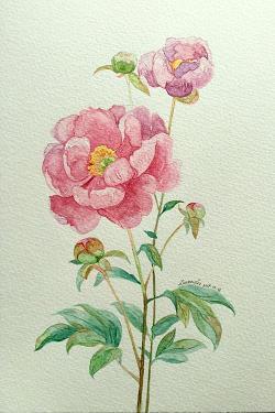 情见乎言成语接龙游戏