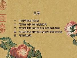 木朽不雕成语接龙游戏