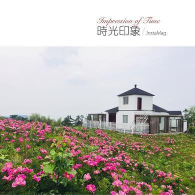 急公近利成语接龙游戏