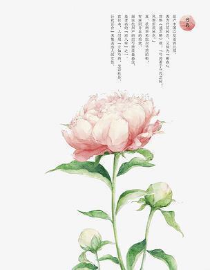 云蒸霞蔚成语接龙游戏