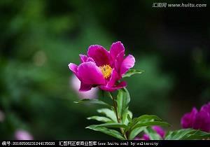 天下黄河贵德清