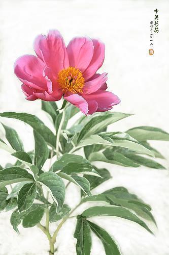 难乎为继成语接龙游戏